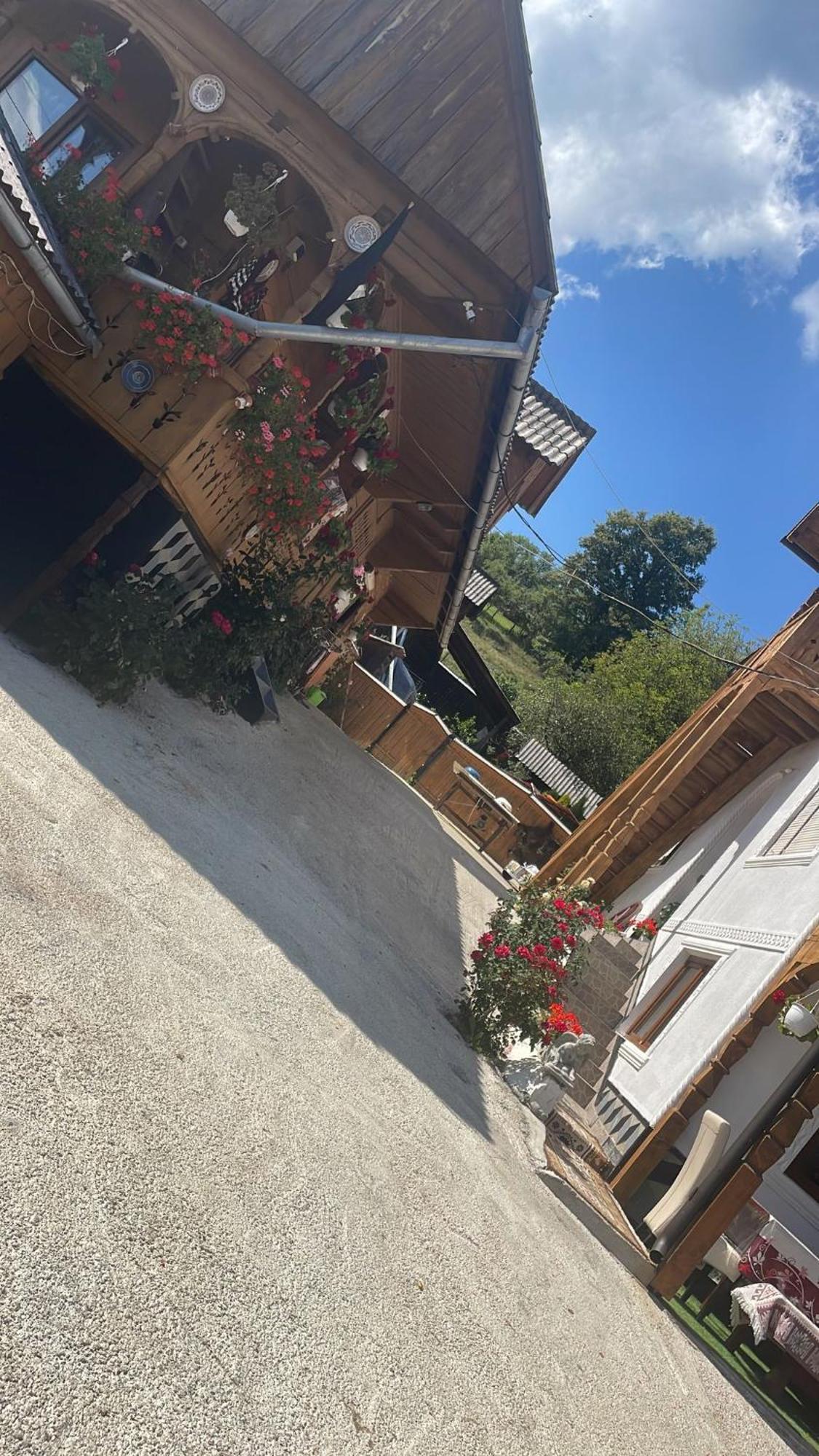 Casa Ionela Petreus Poienile Izei