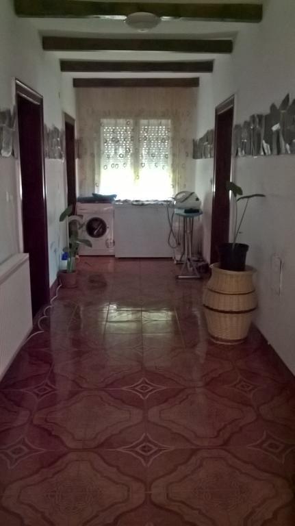 Casa Ionela Petreus Poienile Izei