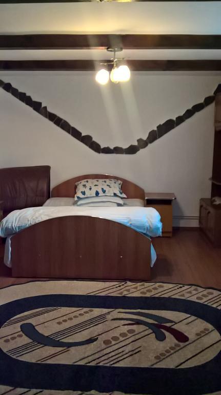 Casa Ionela Petreus Maison d'hôtes Poienile Izei