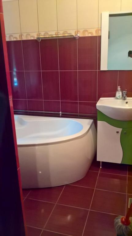 Casa Ionela Petreus 3* Poienile Izei