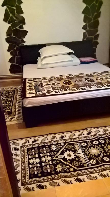 Pensiune Casa Ionela Petreus Poienile Izei