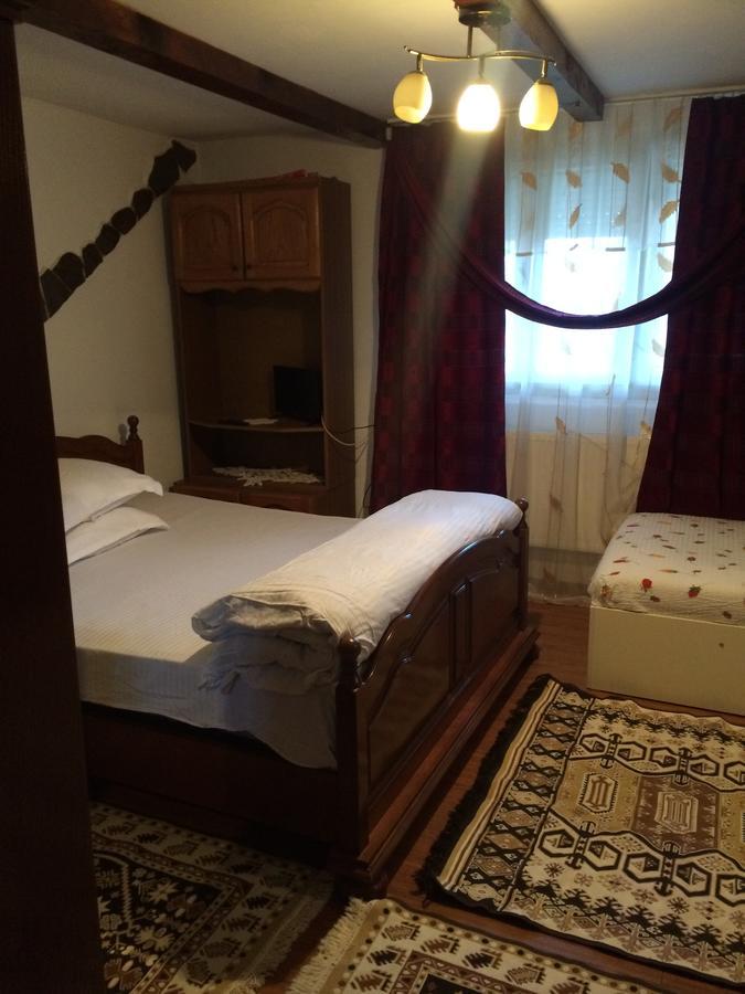 Maison d'hôtes Casa Ionela Petreus 3*